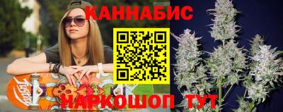 spice Гай