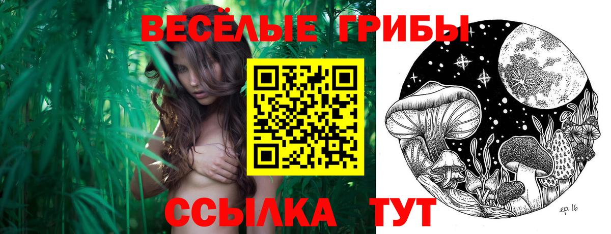 Псилоцибиновые грибы Psilocybine cubensis Надым