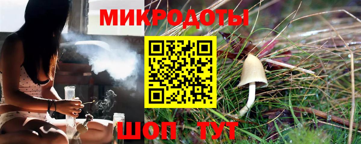 Псилоцибиновые грибы мицелий  Вход с VPN  Надым 